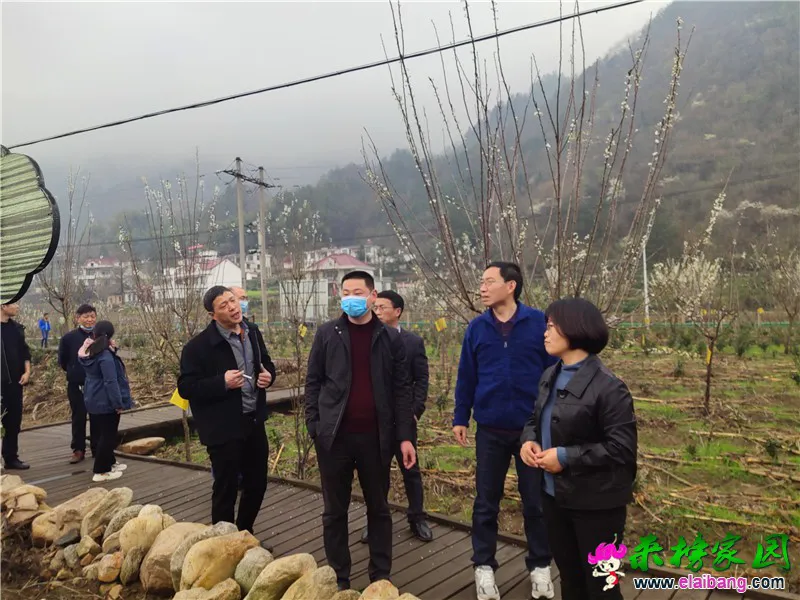 微信图片_20200322203206.webp