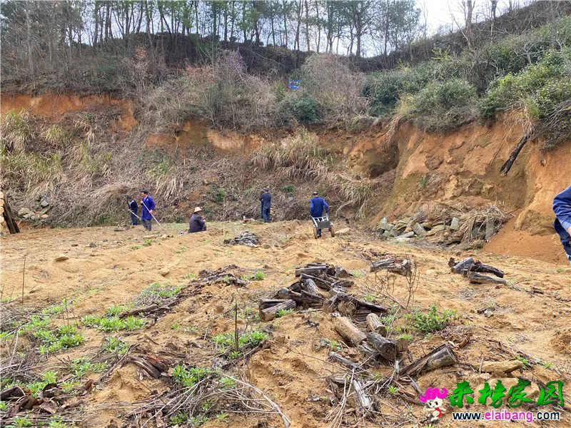 微信图片_20200322203202.webp