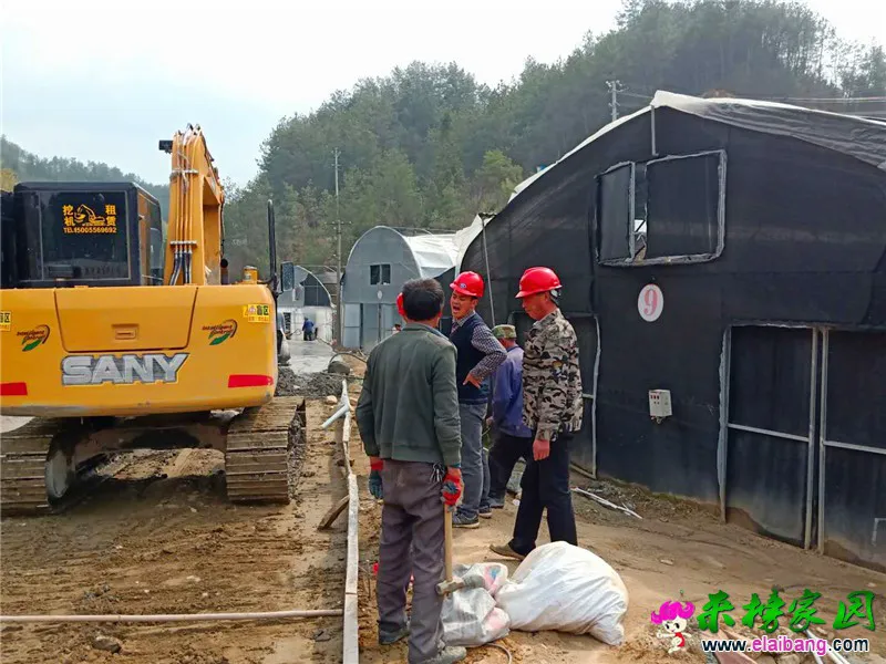 微信图片_20200322203238.webp