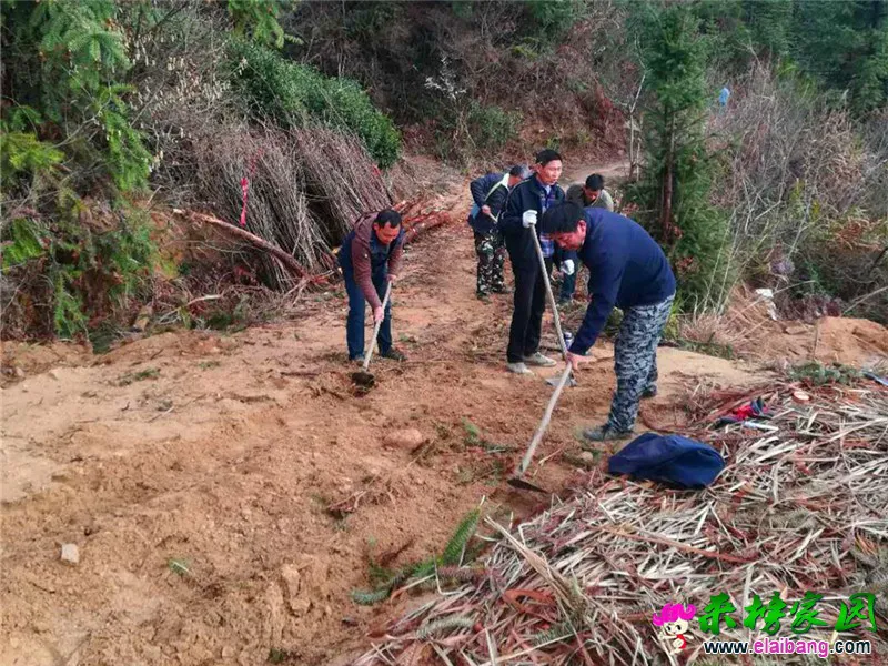 微信图片_20200322203147.webp