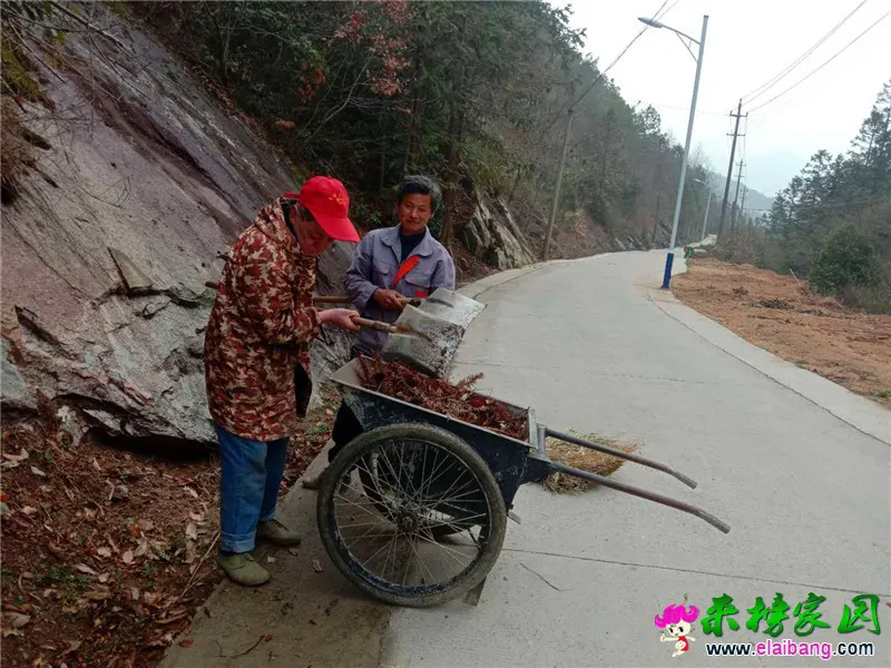 微信图片_20200323192014.webp