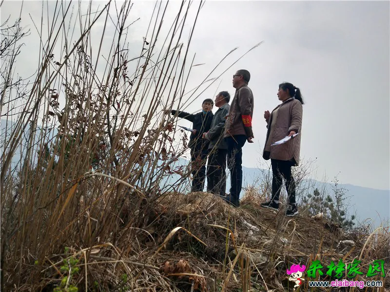 微信图片_20200323192040.webp