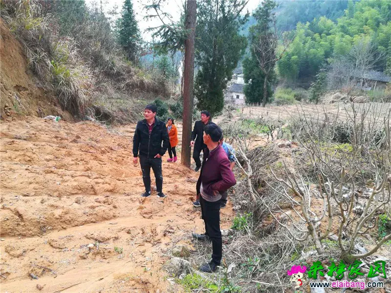 微信图片_20200324144227.webp