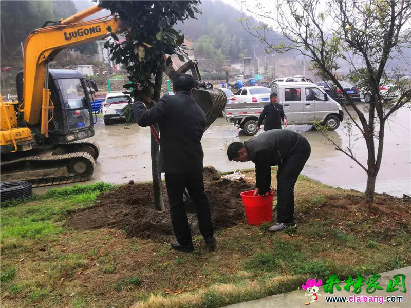 微信图片_20200325202951.webp