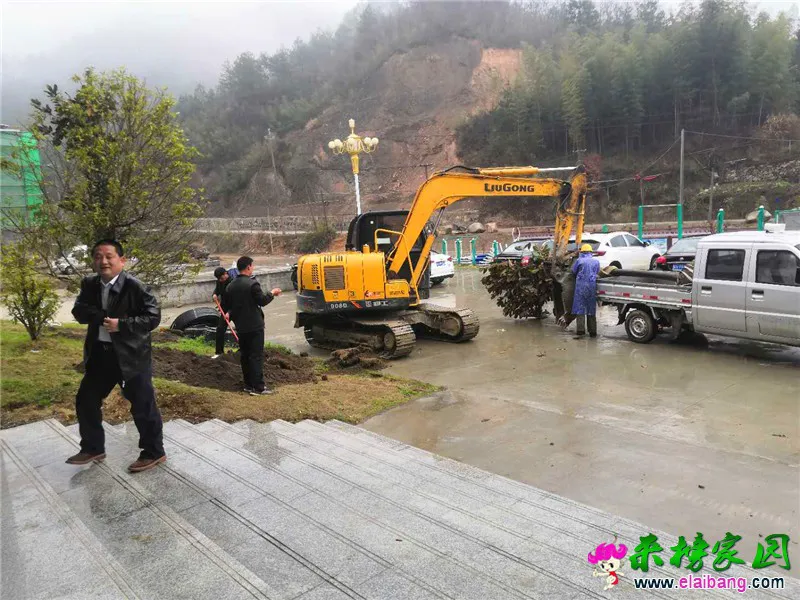 微信图片_20200325202949.webp