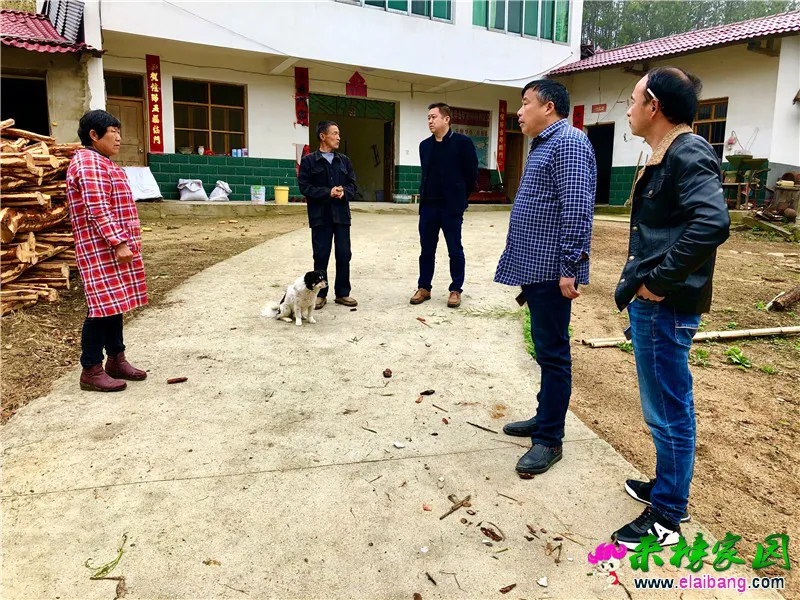 微信图片_20200325202953.webp