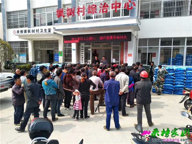 微信图片_20200325202940.webp