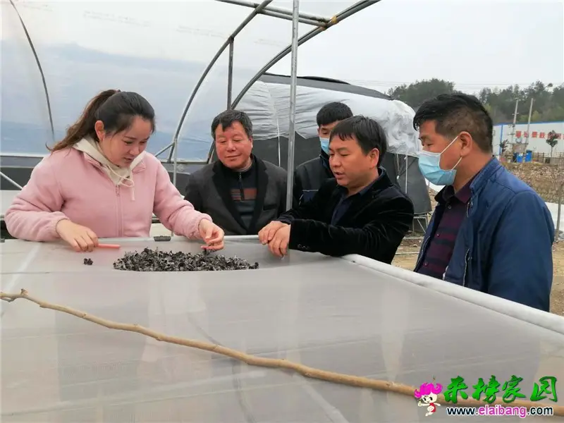 微信图片_20200327204323.webp