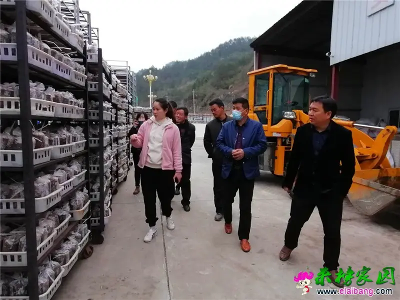 微信图片_20200327204325.webp