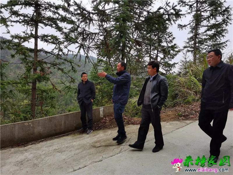 微信图片_20200327204338.webp