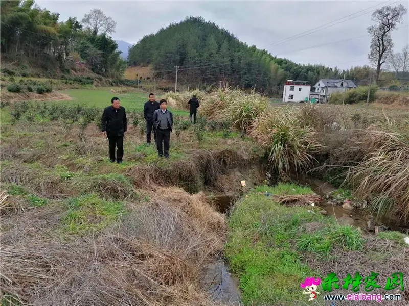 微信图片_20200327204336.webp