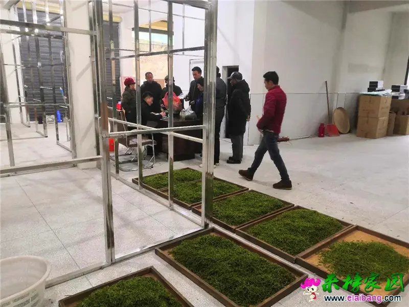 微信图片_20200327204334.webp