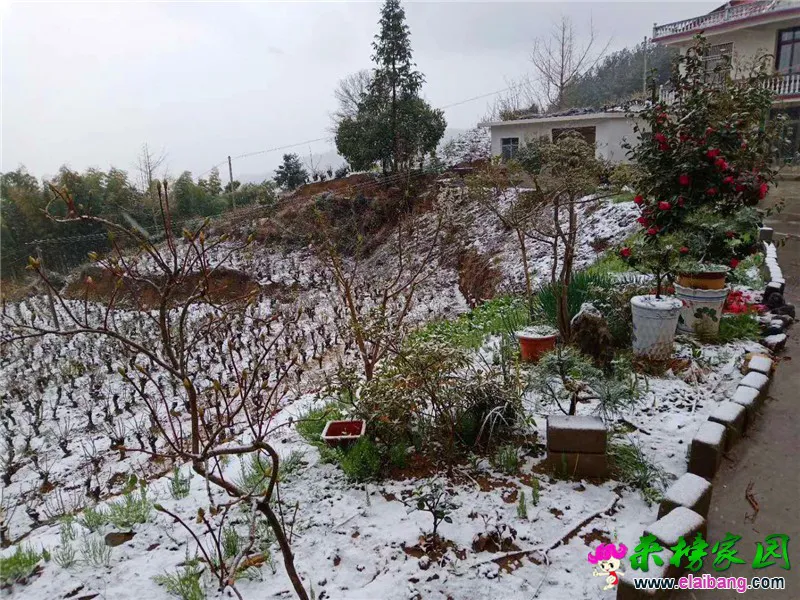 微信图片_20200328073337.webp