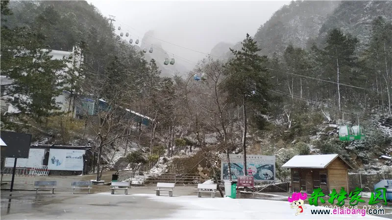 微信图片_20200328073345.webp