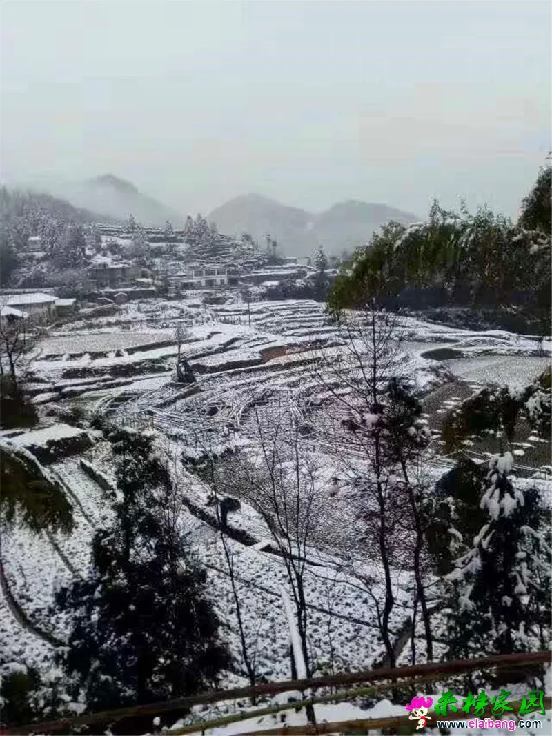 微信图片_20200328073334.webp