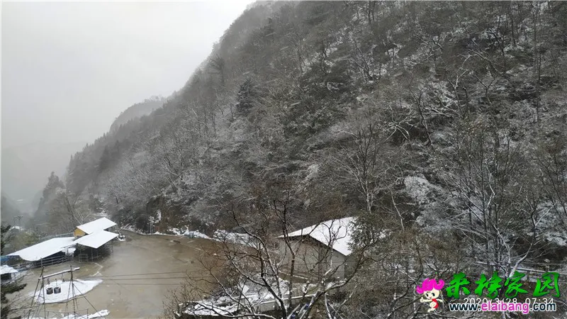 微信图片_20200328073351.webp