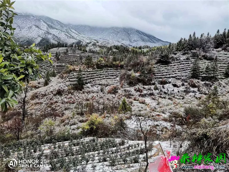 微信图片_20200328073331.webp
