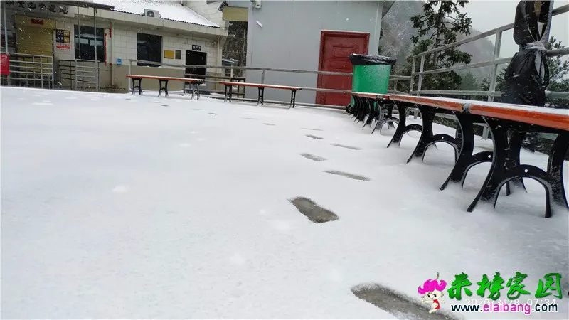 微信图片_20200328073348.webp