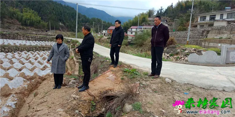 微信图片_20200328201054.webp