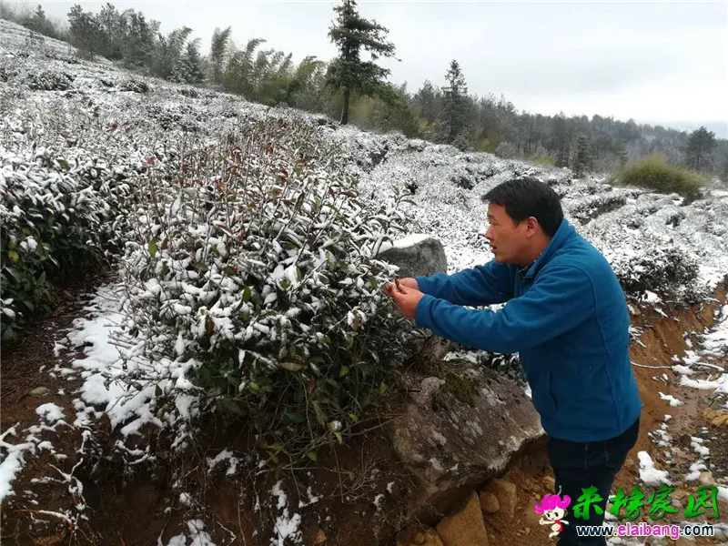 微信图片_20200328201020.webp