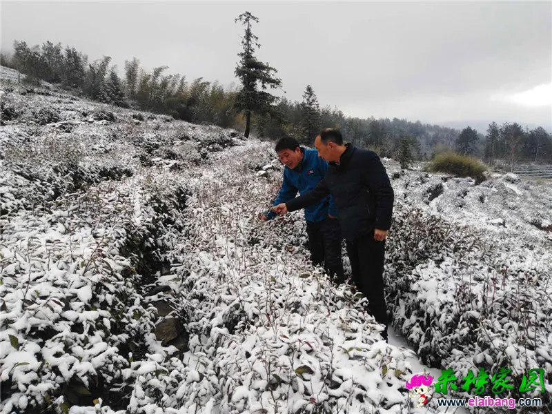 微信图片_20200328201022.webp