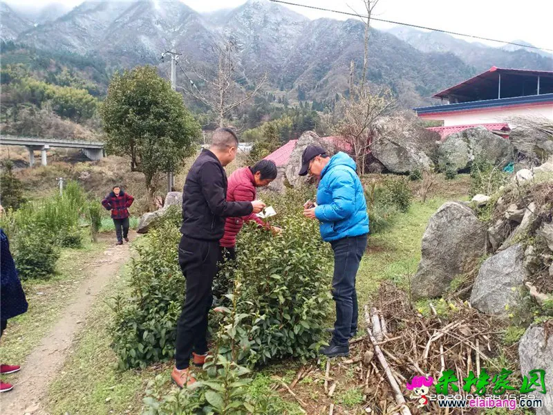 微信图片_20200328201101.webp