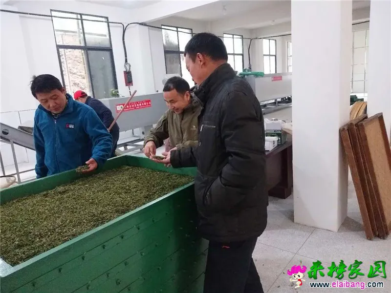 微信图片_20200328201027.webp