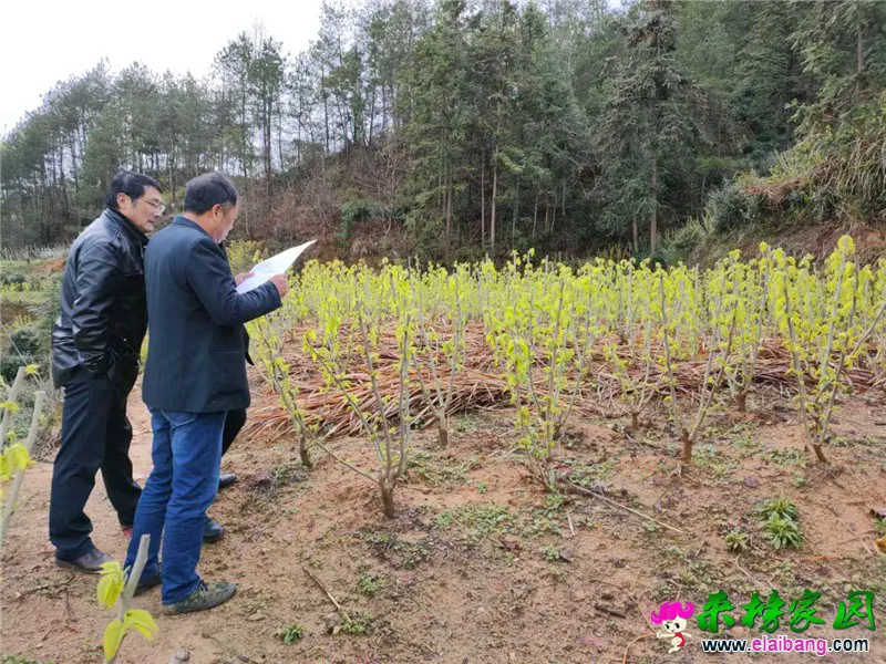 微信图片_20200328201046.webp
