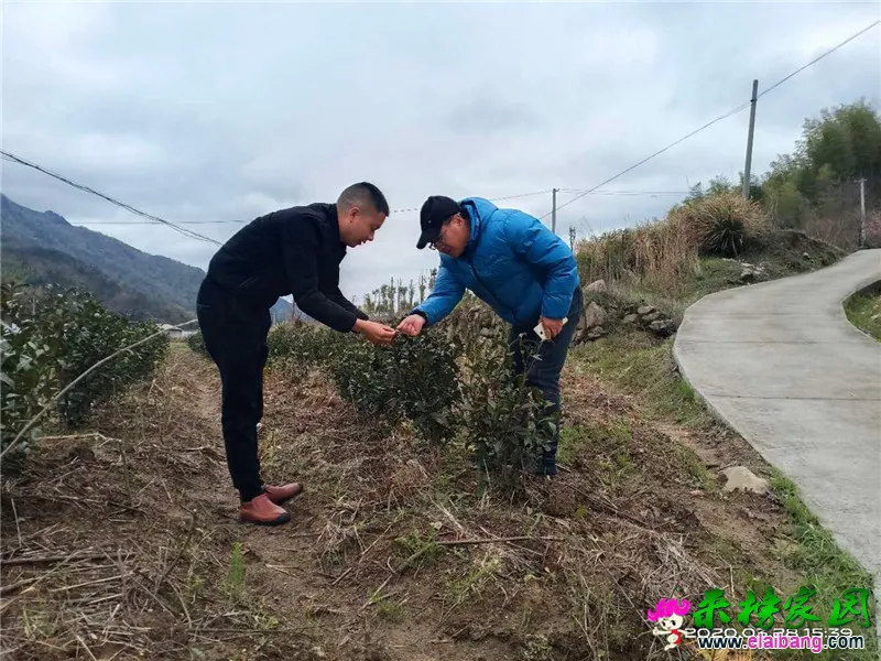 微信图片_20200328201059.webp