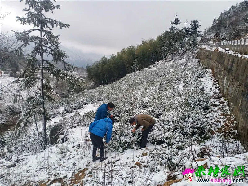 微信图片_20200328201029.webp