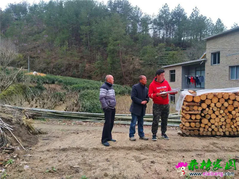 微信图片_20200328201103.webp