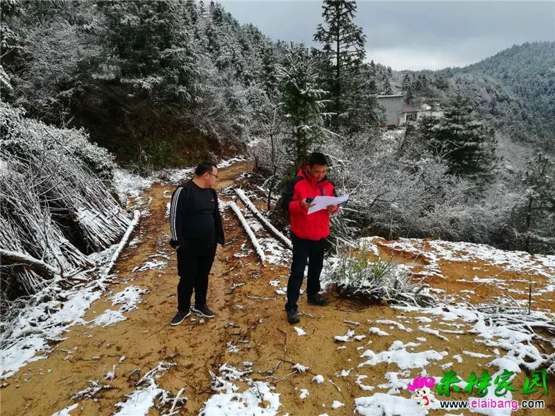 微信图片_20200328201025.webp