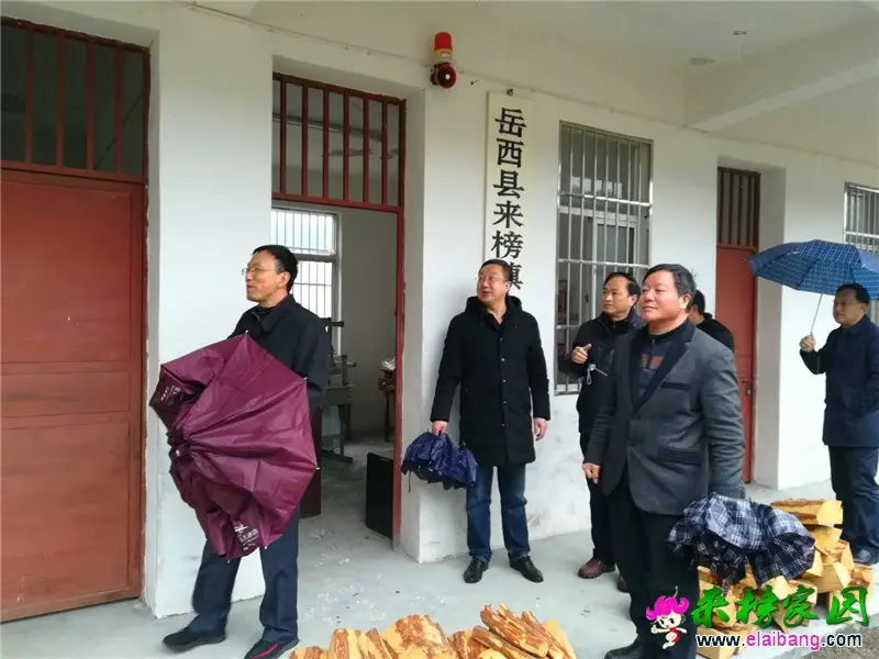 微信图片_20200329202535.webp