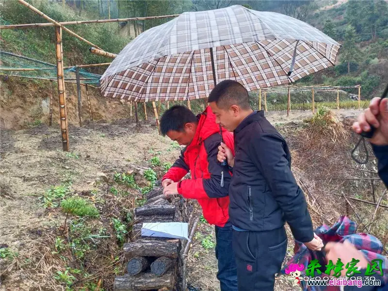 微信图片_20200329202522.webp