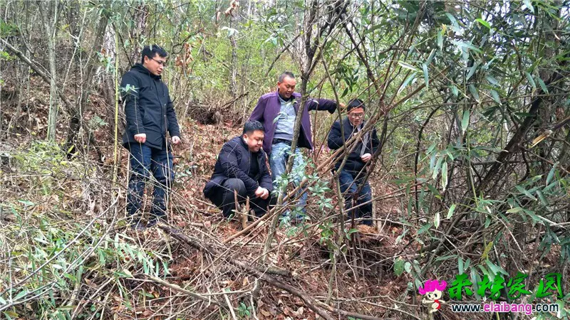 微信图片_20200330210259.webp