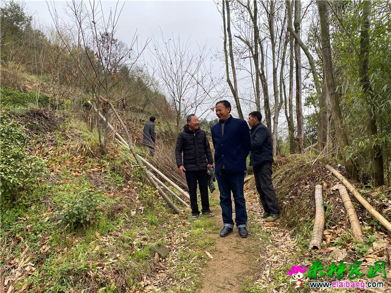 微信图片_20200330210249.webp