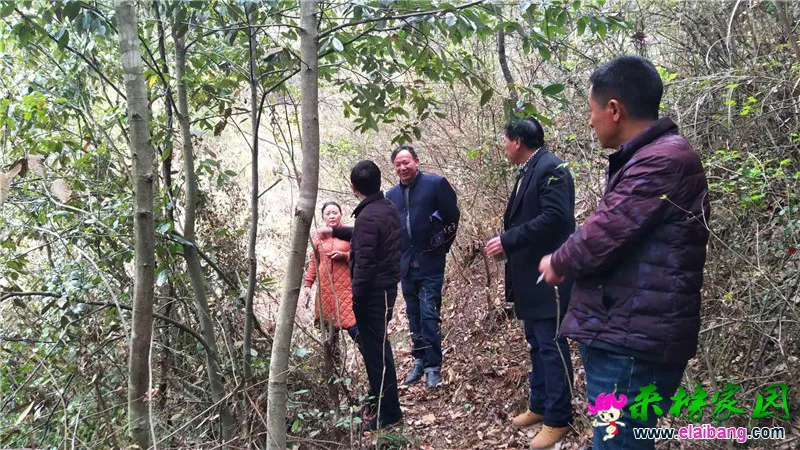 微信图片_20200331193044.webp