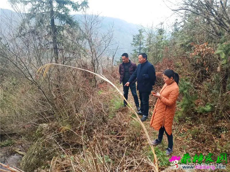微信图片_20200331193051.webp