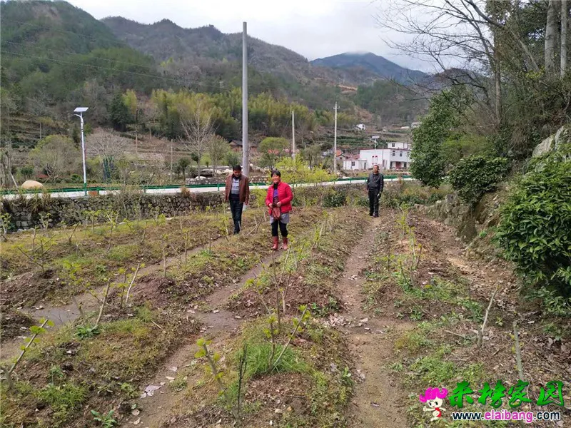 微信图片_20200331193054.webp