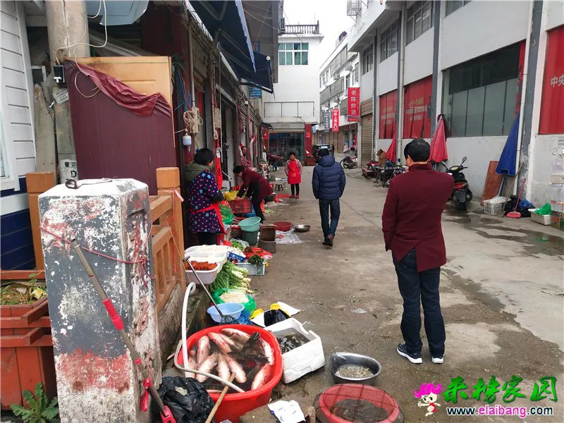 微信图片_20200331193049.webp