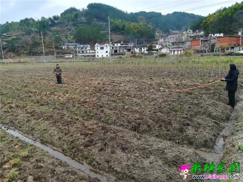 微信图片_20200331193042.webp
