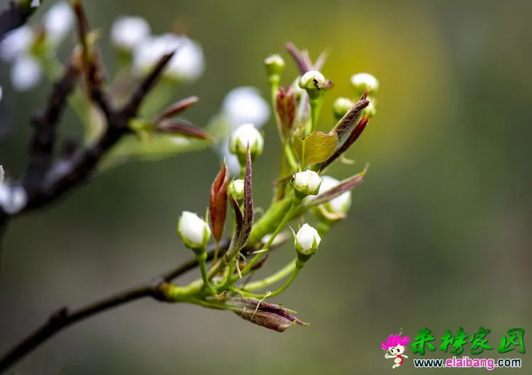 微信图片_20200401192456.webp