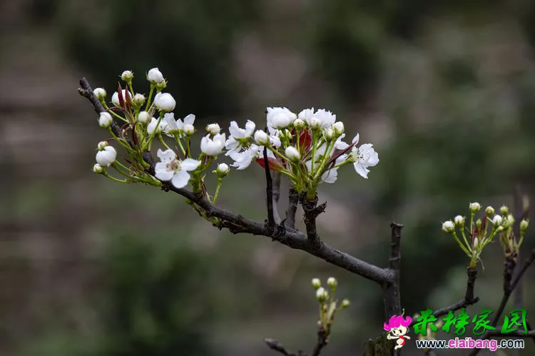 微信图片_20200401192428.webp