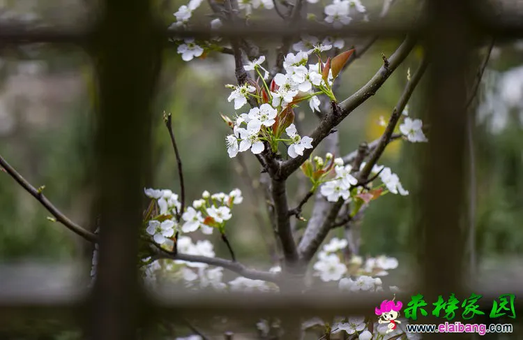 微信图片_20200401192528.webp