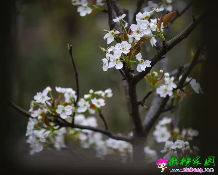 微信图片_20200401192535.webp