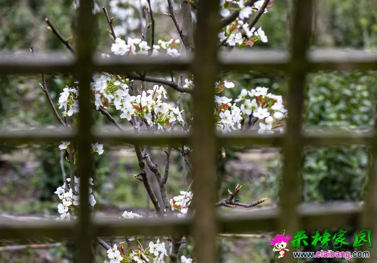 微信图片_20200401192511.webp