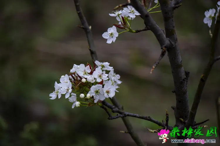 微信图片_20200401192551.webp