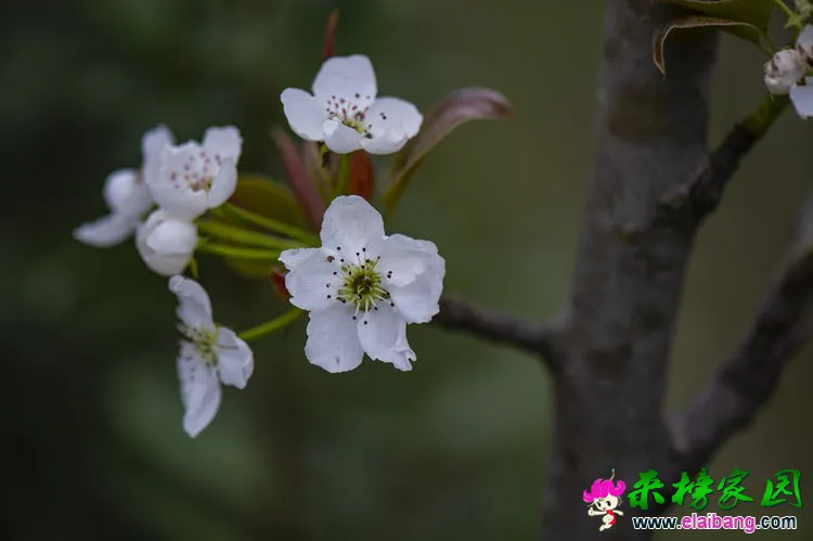 微信图片_20200401192555.webp