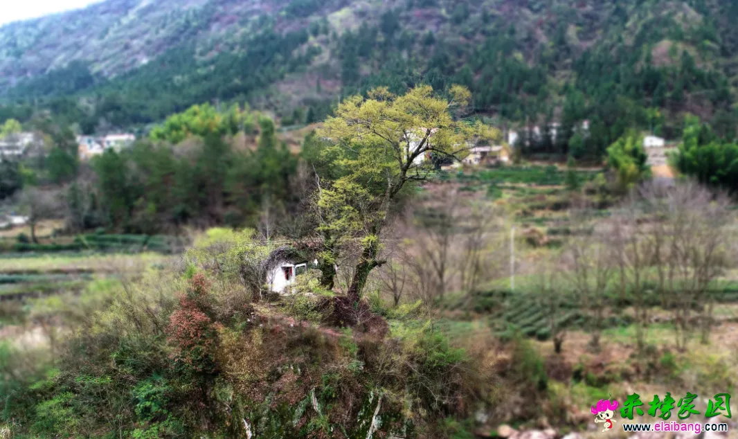 微信图片_20200401195206.webp