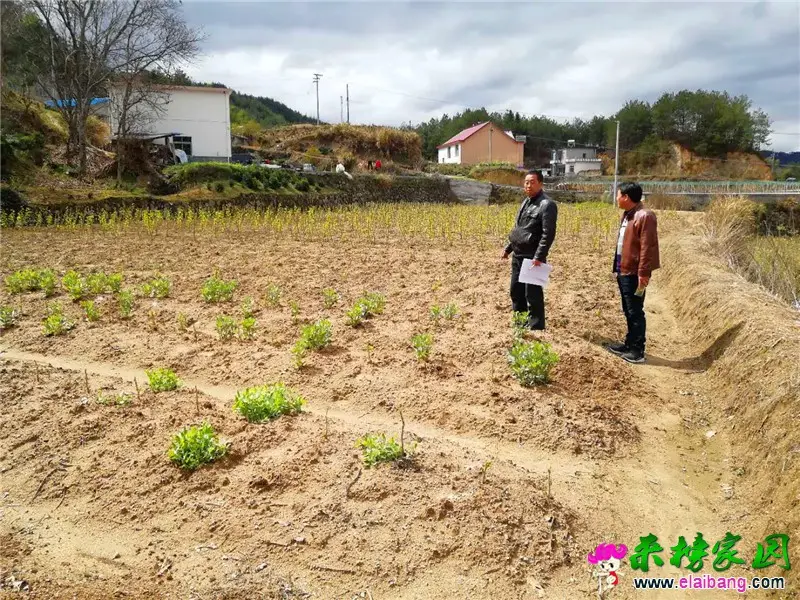 微信图片_20200401211023.webp
